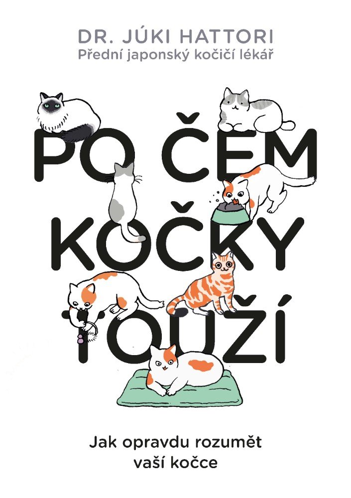 Levně Po čem kočky touží? Ilustrovaný lidsko-kočičí slovník - Júki Hattori